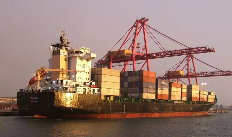 MAGNAVIA Container Ship IMO 9122447 photo 10