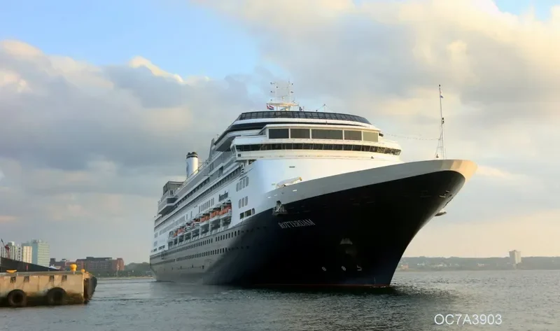 ROTTERDAM Passenger Ship IMO 9122552 photo 9