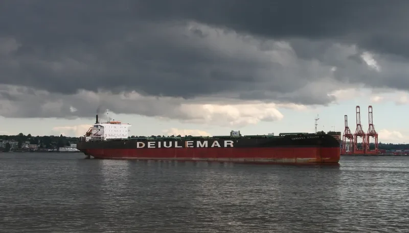 SOTIRIA Bulk Carrier IMO 9122576 photo 10
