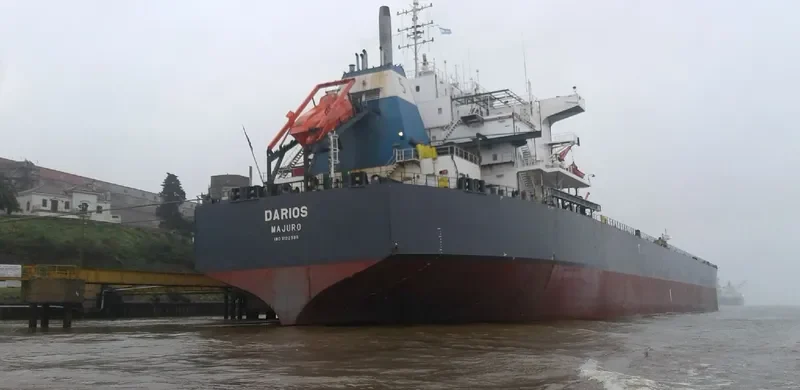 DARIOS Bulk Carrier IMO 9122588 photo 2