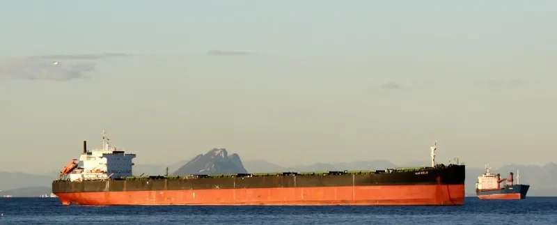 DARIOS Bulk Carrier IMO 9122588 photo 3