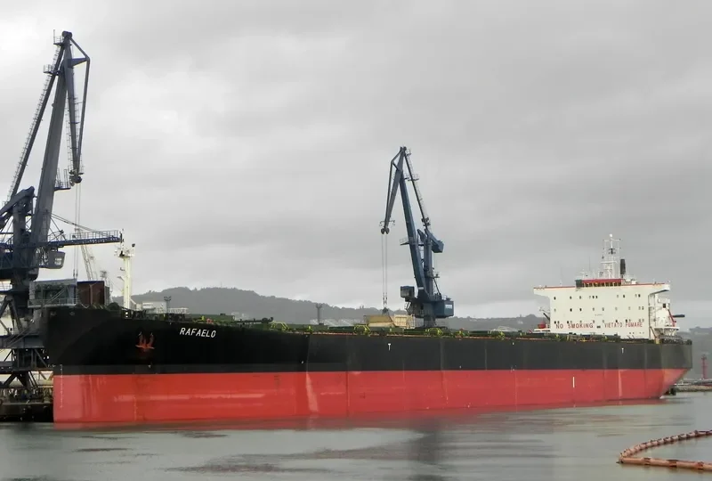 DARIOS Bulk Carrier IMO 9122588 photo 6