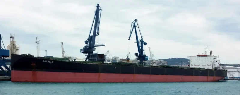 DARIOS Bulk Carrier IMO 9122588 photo 7