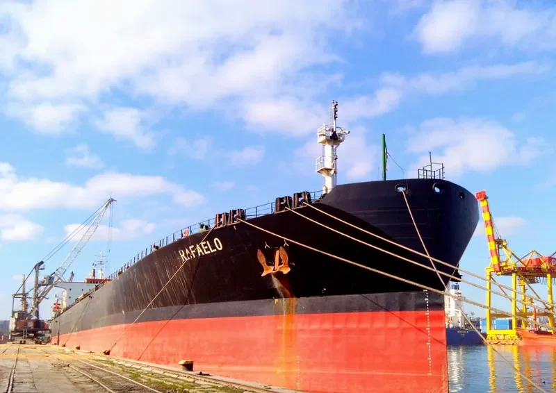 DARIOS Bulk Carrier IMO 9122588 photo 10