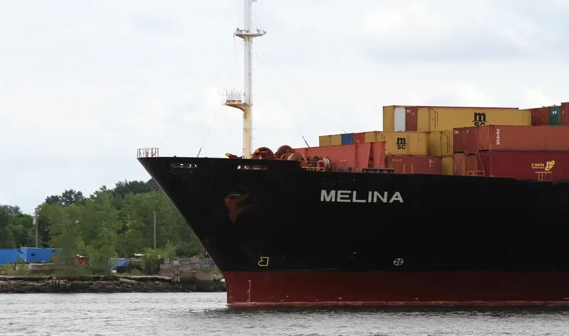 MELINA Container Ship IMO 9122605 photo 7