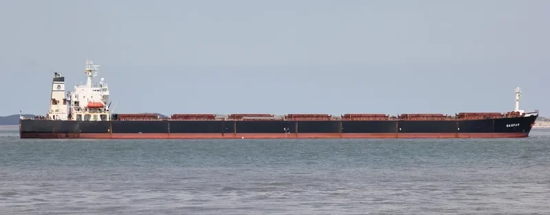 GASPAR Bulk Carrier IMO 9122667 photo 6