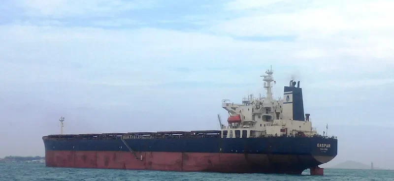 GASPAR Bulk Carrier IMO 9122667 photo 7
