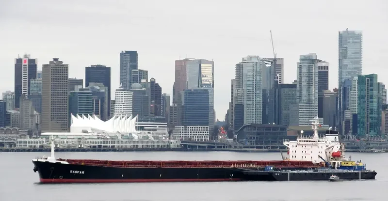 GASPAR Bulk Carrier IMO 9122667 photo 8