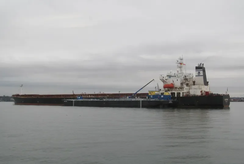 GASPAR Bulk Carrier IMO 9122667 photo 9