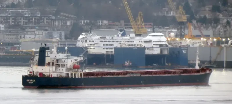 GASPAR Bulk Carrier IMO 9122667 photo 10
