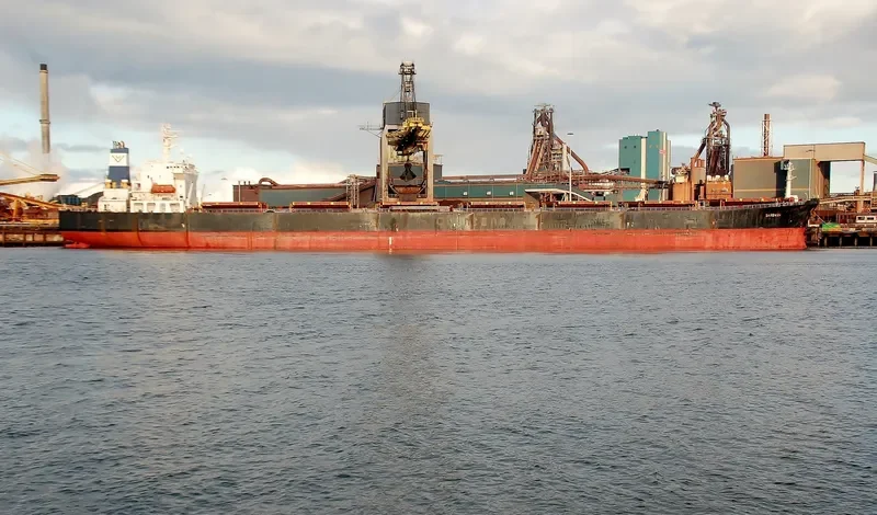 OCEAN LOONG Bulk Carrier IMO 9122679