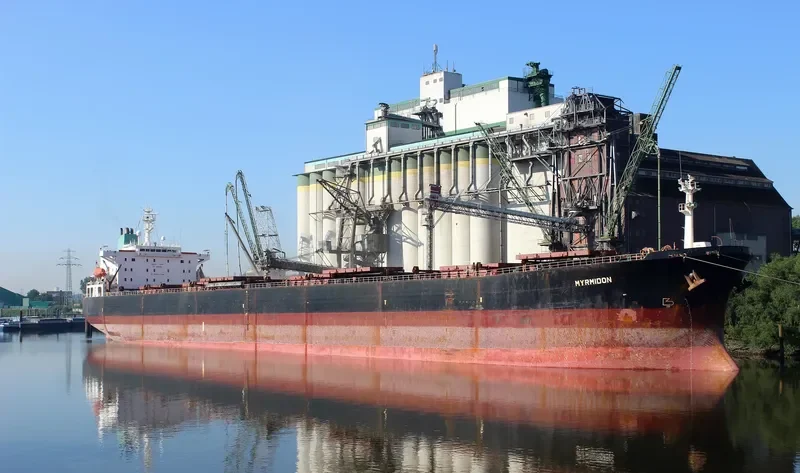 OCEAN LOONG Bulk Carrier IMO 9122679 photo 2