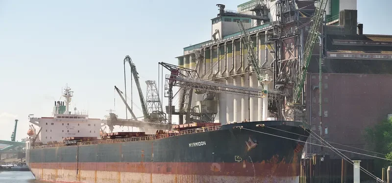 OCEAN LOONG Bulk Carrier IMO 9122679 photo 3