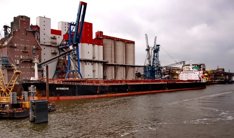 OCEAN LOONG Bulk Carrier IMO 9122679 photo 4