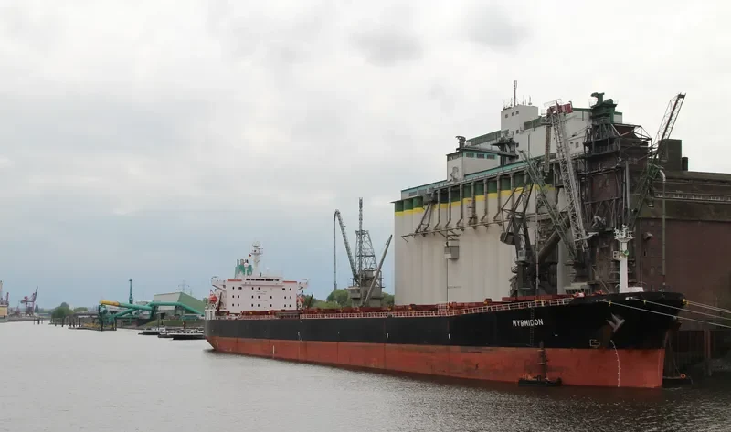 OCEAN LOONG Bulk Carrier IMO 9122679 photo 5