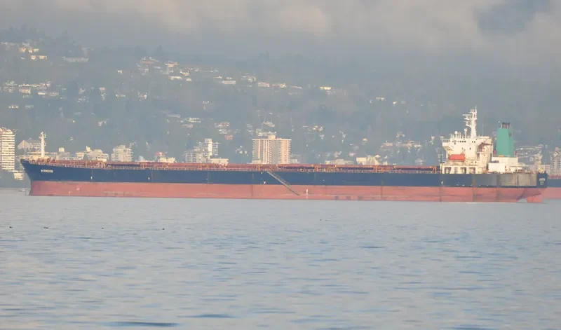 OCEAN LOONG Bulk Carrier IMO 9122679 photo 6