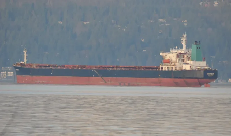 OCEAN LOONG Bulk Carrier IMO 9122679 photo 7
