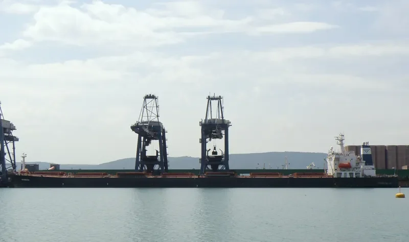 OCEAN LOONG Bulk Carrier IMO 9122679 photo 8