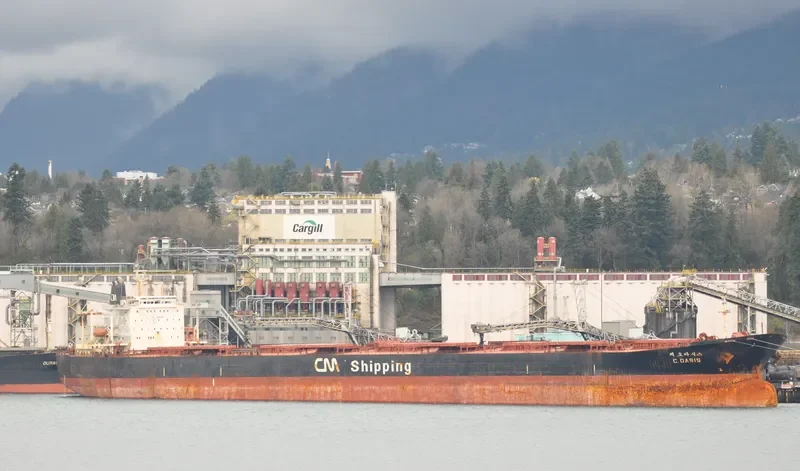 C.OASIS Bulk Carrier IMO 9122784