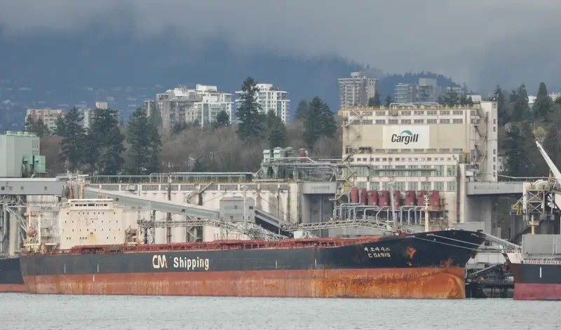 C.OASIS Bulk Carrier IMO 9122784 photo 2