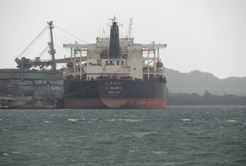 C.OASIS Bulk Carrier IMO 9122784 photo 6