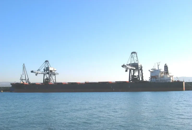 C.OASIS Bulk Carrier IMO 9122784 photo 8