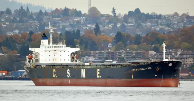 CAPTAIN EVANGELOS N.M. Bulk Carrier IMO 9122851 photo 3