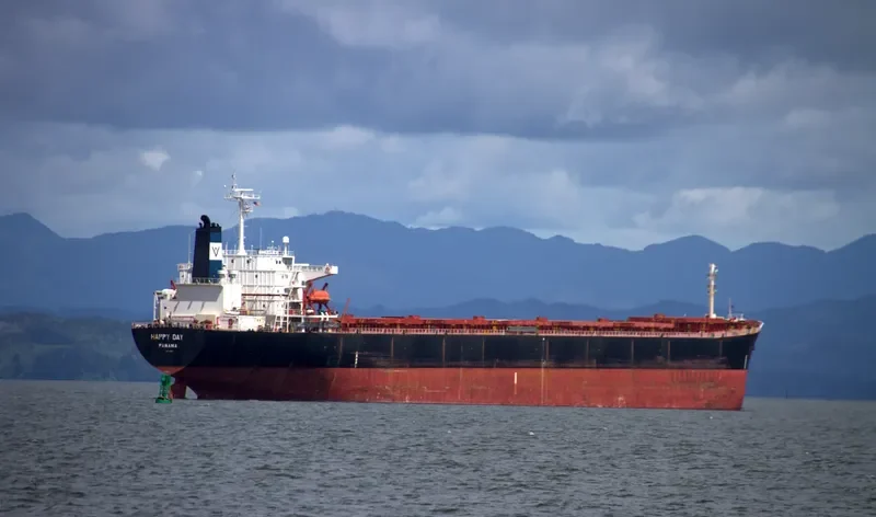 HE DA Bulk Carrier IMO 9122863 photo 3