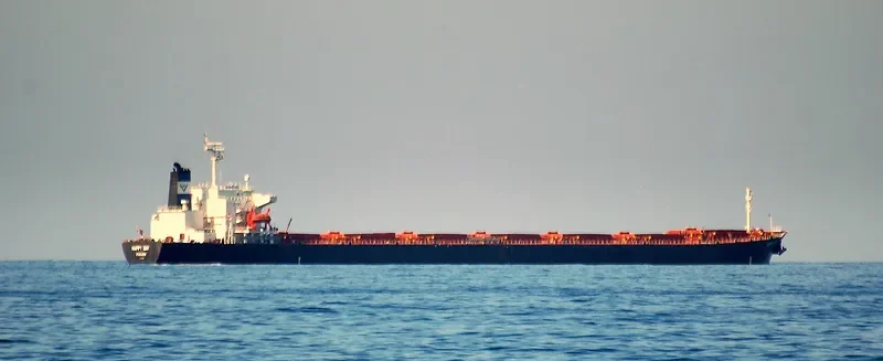 HE DA Bulk Carrier IMO 9122863 photo 6