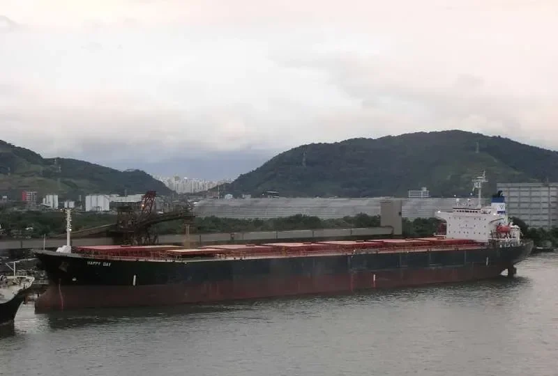 HE DA Bulk Carrier IMO 9122863 photo 7
