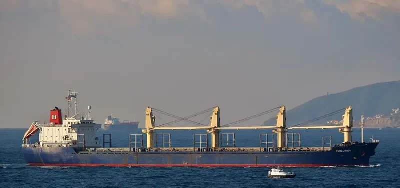 EVOLUTION Bulk Carrier IMO 9122899