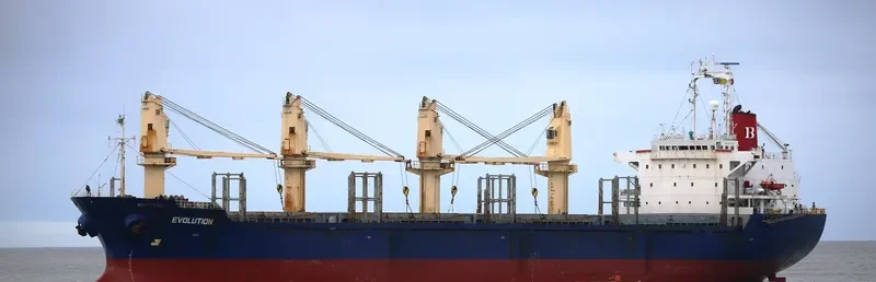 EVOLUTION Bulk Carrier IMO 9122899 photo 2