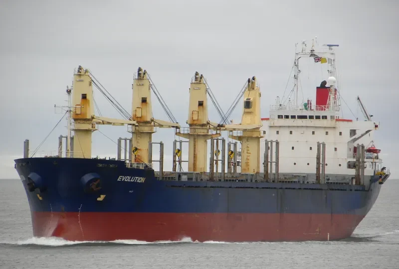 EVOLUTION Bulk Carrier IMO 9122899 photo 3