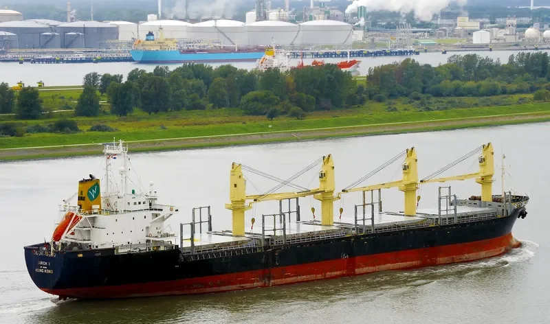 EVOLUTION Bulk Carrier IMO 9122899 photo 5