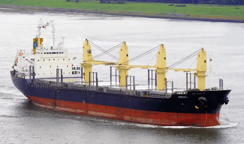 EVOLUTION Bulk Carrier IMO 9122899 photo 6