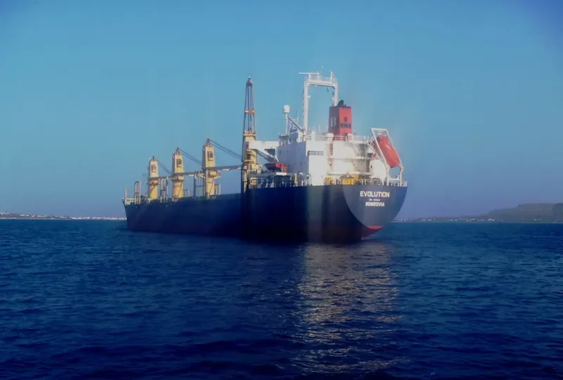 EVOLUTION Bulk Carrier IMO 9122899 photo 7