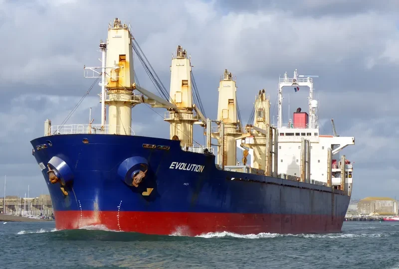EVOLUTION Bulk Carrier IMO 9122899 photo 8