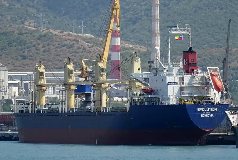 EVOLUTION Bulk Carrier IMO 9122899 photo 9