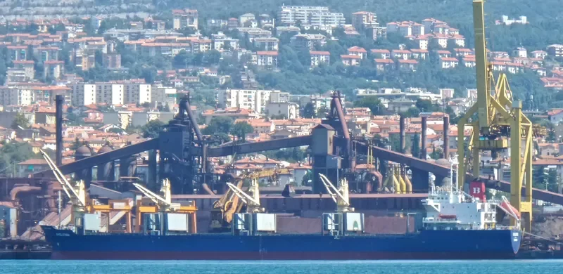 EVOLUTION Bulk Carrier IMO 9122899 photo 10