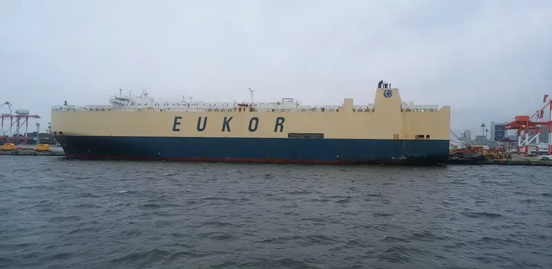 ASIAN VISION General Cargo IMO 9122966