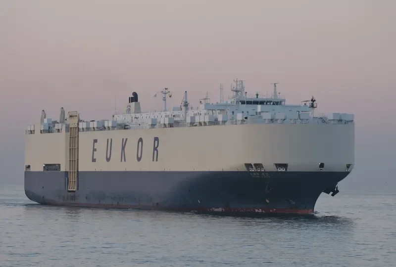 ASIAN VISION General Cargo IMO 9122966 photo 3