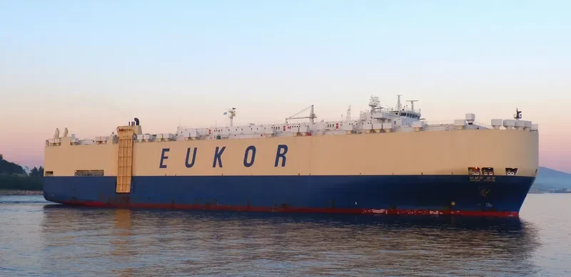 ASIAN VISION General Cargo IMO 9122966 photo 10