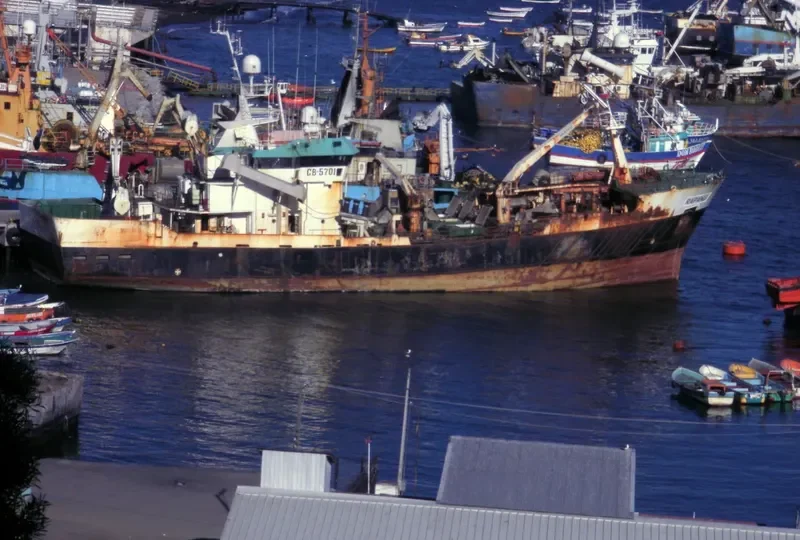 RAPANUI General Cargo IMO 9123063 photo 2