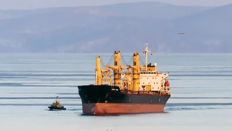 OCEAN TRADE General Cargo IMO 9123099 photo 4
