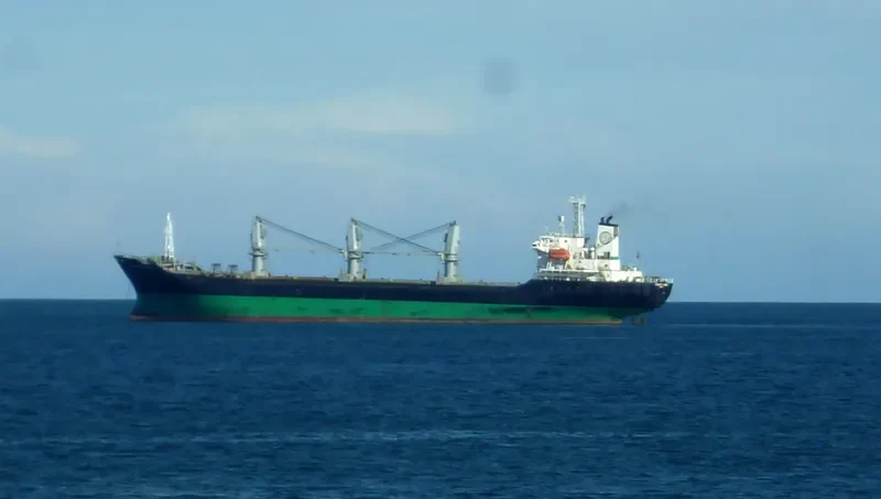 SYCAMORE GLOBAL 1 Bulk Carrier IMO 9123130
