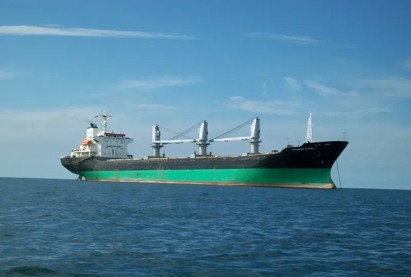 SYCAMORE GLOBAL 1 Bulk Carrier IMO 9123130 photo 2