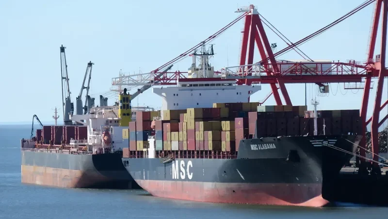 MSC ALABAMA Container Ship IMO 9123166