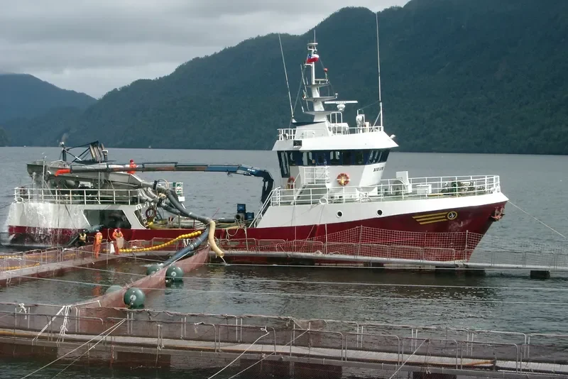 LIINAKHAMARI General Cargo IMO 9123207 photo 8