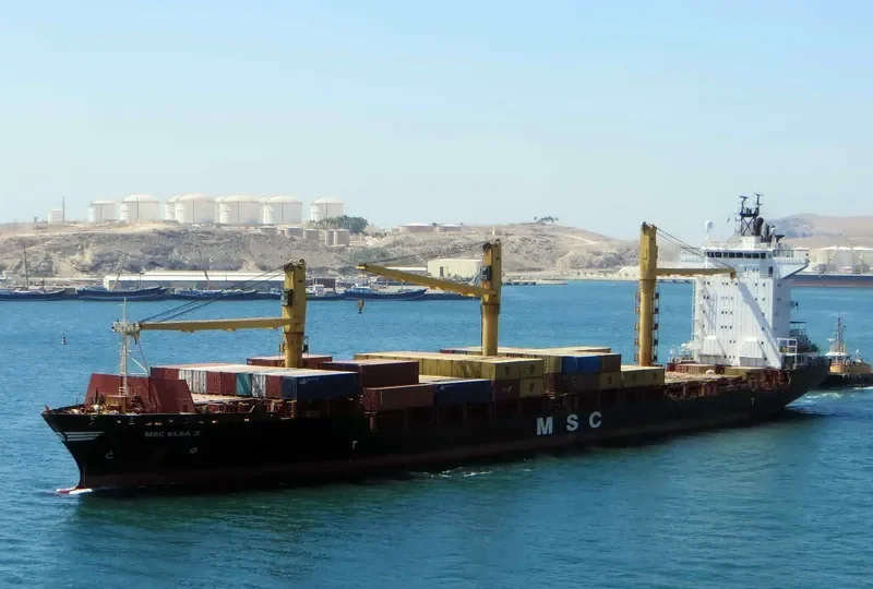 MSC ELSA 3 Container Ship IMO 9123221 photo 3