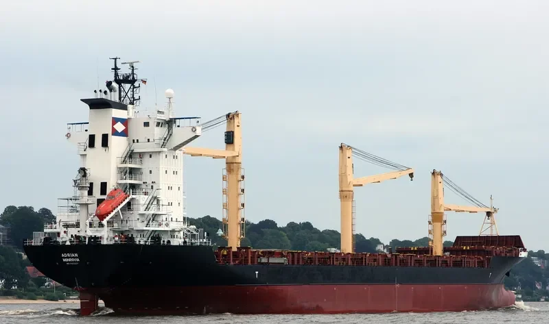 MSC ELSA 3 Container Ship IMO 9123221 photo 4